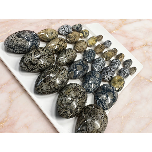 Handmade Snakeskin High Apex Almond Press On Nails 30 Piece Reusable Set