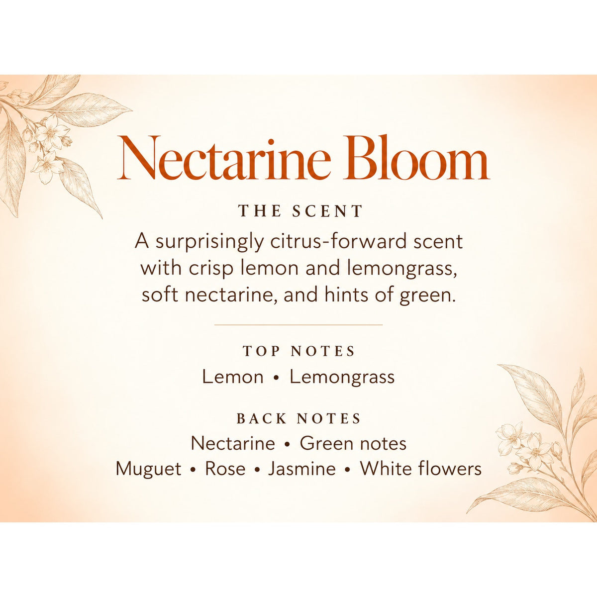 Nectarine Bloom Goat Milk Honey Paraben Free Shea Butter Aloe Citrus Floral